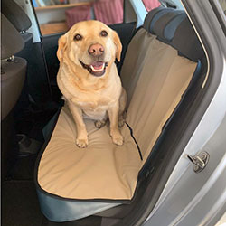 Seat protector for a VW POLO